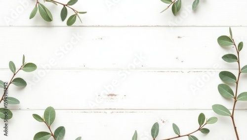 Green eucalyptus branches on white wooden background with copy space