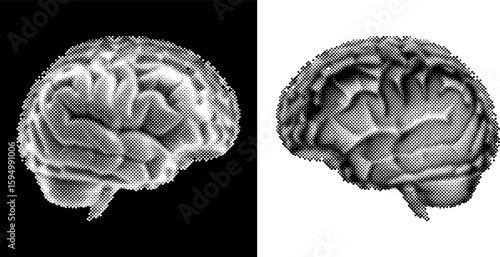 Fotografi Halftone illustration of a human brain in black and white, shown with inverted background colors