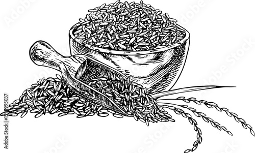 Rice or oats, wheat or rye in a wooden bowl, with rice stalks next to it. Black and white graphics, vector illustrations. Design element for menus, recipes, cookbooks. For banners, packaging, labels.