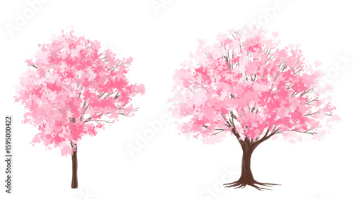 pink cherry tree, Vector of Sakura tree or blooming  side view isolated on white background ,watercolor tree elevation for landscape concept,environment scene,eco design,blossom garden for spring
