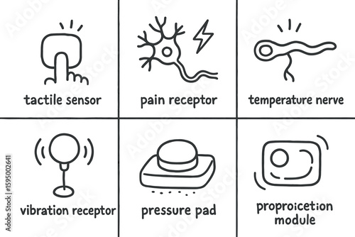hand drawn cute doodle style isolated sensation tactile sensor sensation pain receptor sensation temperature nerve sensation vibration receptor sensation pressure pad sensation proprioception module