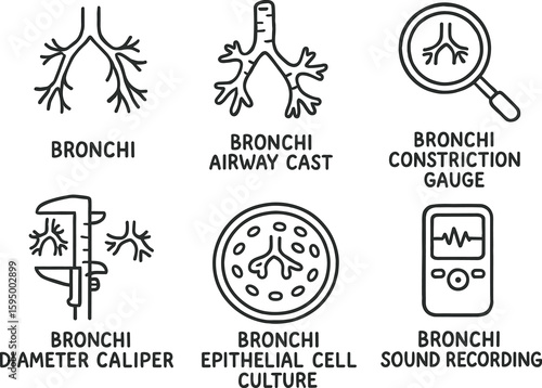 hand drawn cute doodle style isolated bronchi bronchi branching model bronchi airway cast bronchi constriction gauge bronchi diameter caliper bronchi epithelial cell culture bronchi sound recording