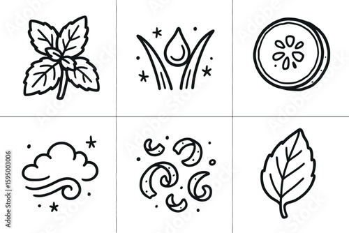 hand drawn cute doodle style isolated freshness mint sprig freshness morning dew freshness cucumber slice freshness sea breeze freshness lime zest freshness basil leaf