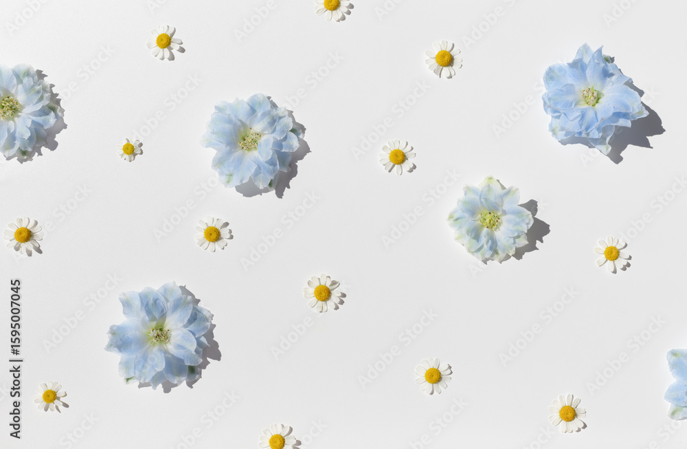 Obraz premium Chamomile and larkspur flowers pattern on white bright background on harsh sunlight