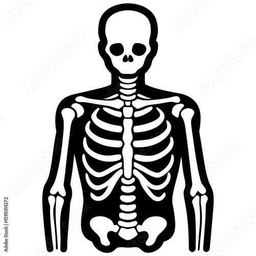 X ray line art vector illustration 