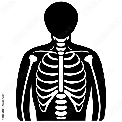 X ray line art vector illustration 