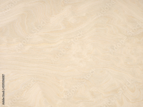 Swirling sands of time captured in wood, a delicate dance of alabaster and cream in nature's design