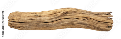 Detailed close-up of natural driftwood piece with unique texture