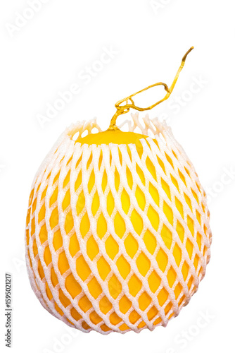 Organic yellow fruit of canary melon or winter melon, in a net, isolated on a transparent background. 