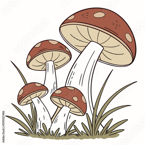 Cluster of mushrooms with varied sizes in earthy tones, isolated for nature or forest themes.