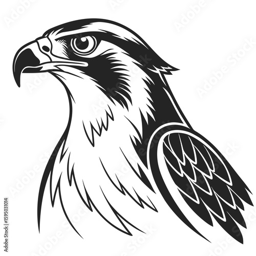 Eagle head in profile, a powerful raptor