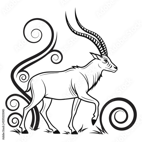 Oryx antelope walking with long curved horns and curls