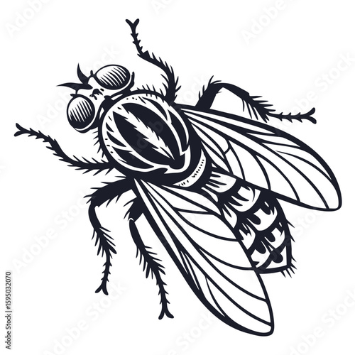 A detailed black and white illustration of a fly
