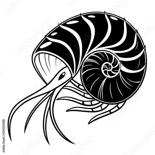 A black and white illustration of a nautilus shell with its creature