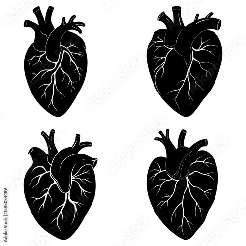 Four anatomical heart illustrations in black and white showing arteries and veins in detail for medical use
