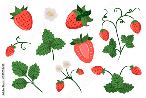 Strawberry set. Red strawberries with flowers and leaves on white background. Juicy summer berries. Vector illustration.