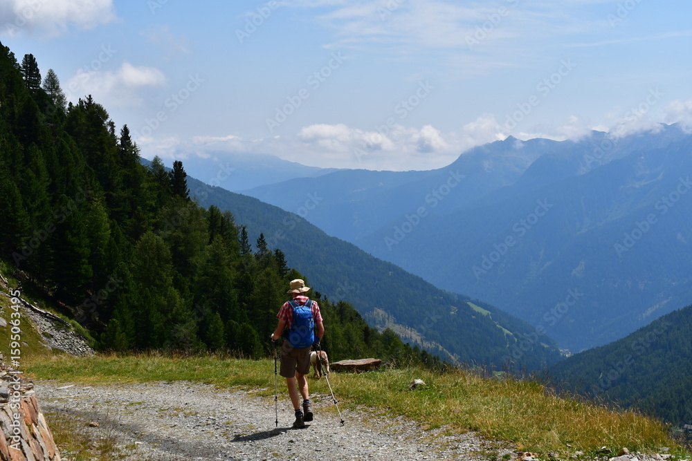 Ein Mann und sein Lagotto Romagnolo Hund wandern im Ultental in Südtirol Ein Mann und sein Lagotto Romagnolo Hund wandern im Ultental in Südtirol