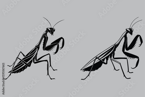 Mantis in Hunting Position Silhouette vector design art and illustration