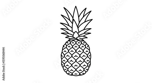 Illustration of a pineapple with detailed skin and spiky crown outline