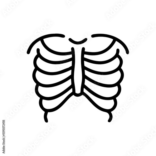 X ray with ribs anatomical illustration on white, providing skeletal structure. X ray with ribs showcase internal human anatomy. Diagnostic X ray with ribs for educational medical purposes.