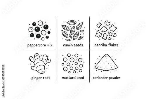 spices peppercorn mix, spices cumin seeds, spices paprika flakes, spices ginger root, spices mustard seed, spices coriander powder