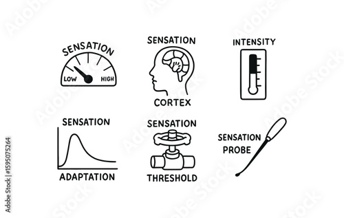 sensation sensation scale dial, sensation sensory cortex map, sensation intensity meter, sensation adaptation curve, sensation threshold valve, sensation probe tip