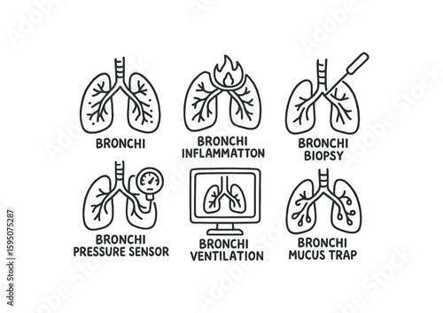 bronchi bronchi inflammation marker, bronchi biopsy tube, bronchi pressure sensor, bronchi ventilation scan, bronchi mucus trap, bronchi lumen chart