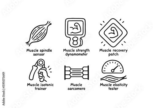 muscle spindle sensor, muscle strength dynamometer, muscle recovery patch, muscle isotonic trainer, muscle sarcomere diagram, muscle elasticity tester