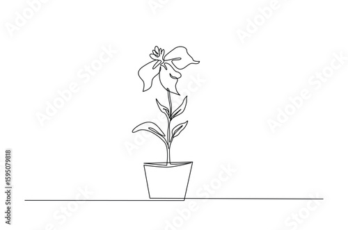 Potted houseplant flowers in continuous one line drawing. Single line art illustration of flower in pot.