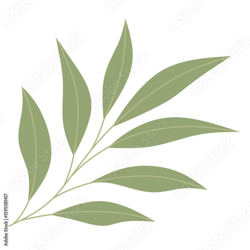 green leaves isolated on white