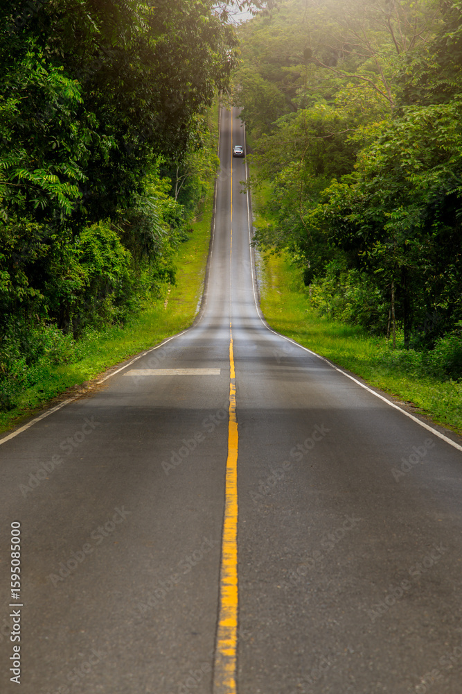 Fototapeta premium A paved road passing through dense forest with mountains in the background at Khao Yai National Park,Thailand