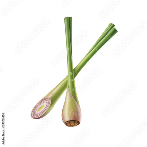 Photorealistic P N G Illustration of Two Lemongrass Stalks Crossed Against a white Background One Stalk is Sliced Showing the Inner Rings a Delicate Water Droplet Effect is