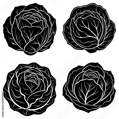 Four black and white cabbage heads with detailed leaf patterns arranged on a white background design art