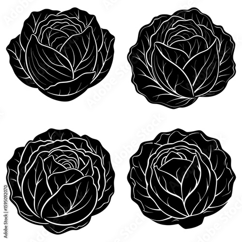 Four black and white cabbage heads with detailed leaf structure arranged in a square pattern design