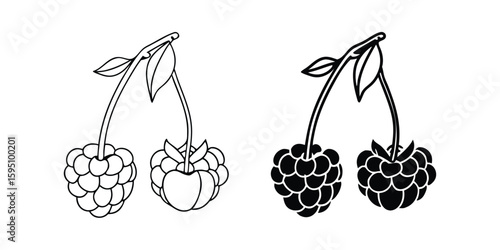 Raspberry Illustration Set with Color and Black Versions on Transparent Background This image features raspberry