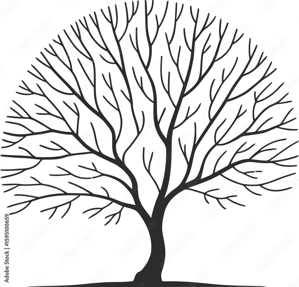 Obraz premium Black Tree Silhouette with Branches and White Background