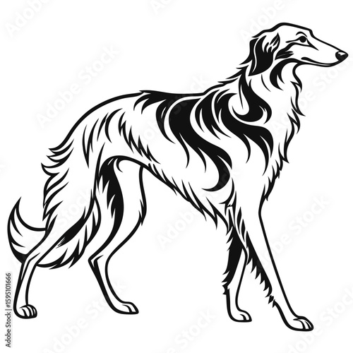 A stylish illustration of a borzoi dog with flowing lines