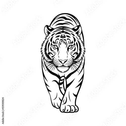 Walking Tiger Vector in Black and White, Monochrome Wild Cat Graphic for Logos On White Background
