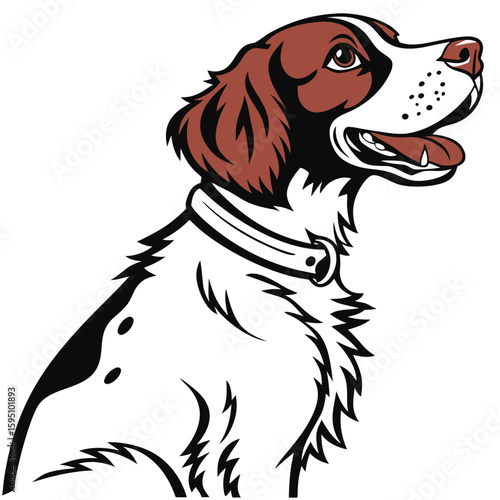 Portrait of a happy dog with a collar, isolated on white background