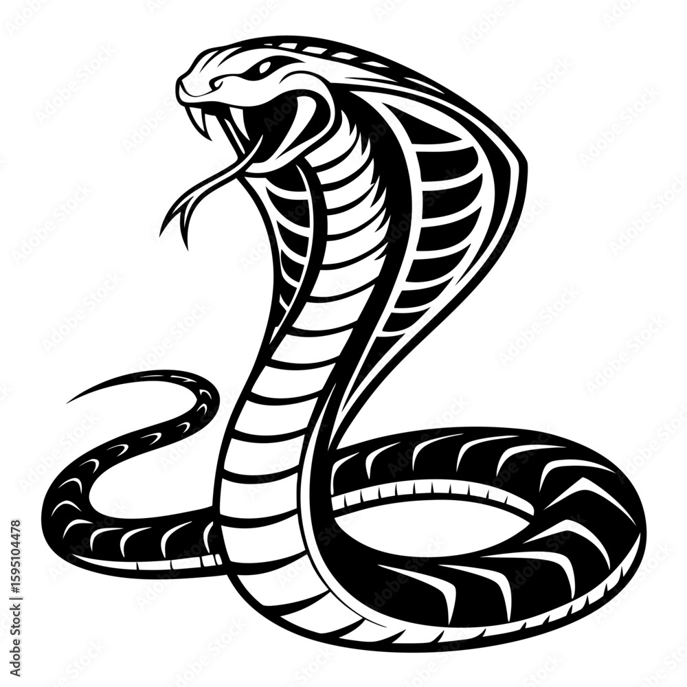 Fototapeta premium A cobra snake with open hood isolated on white background