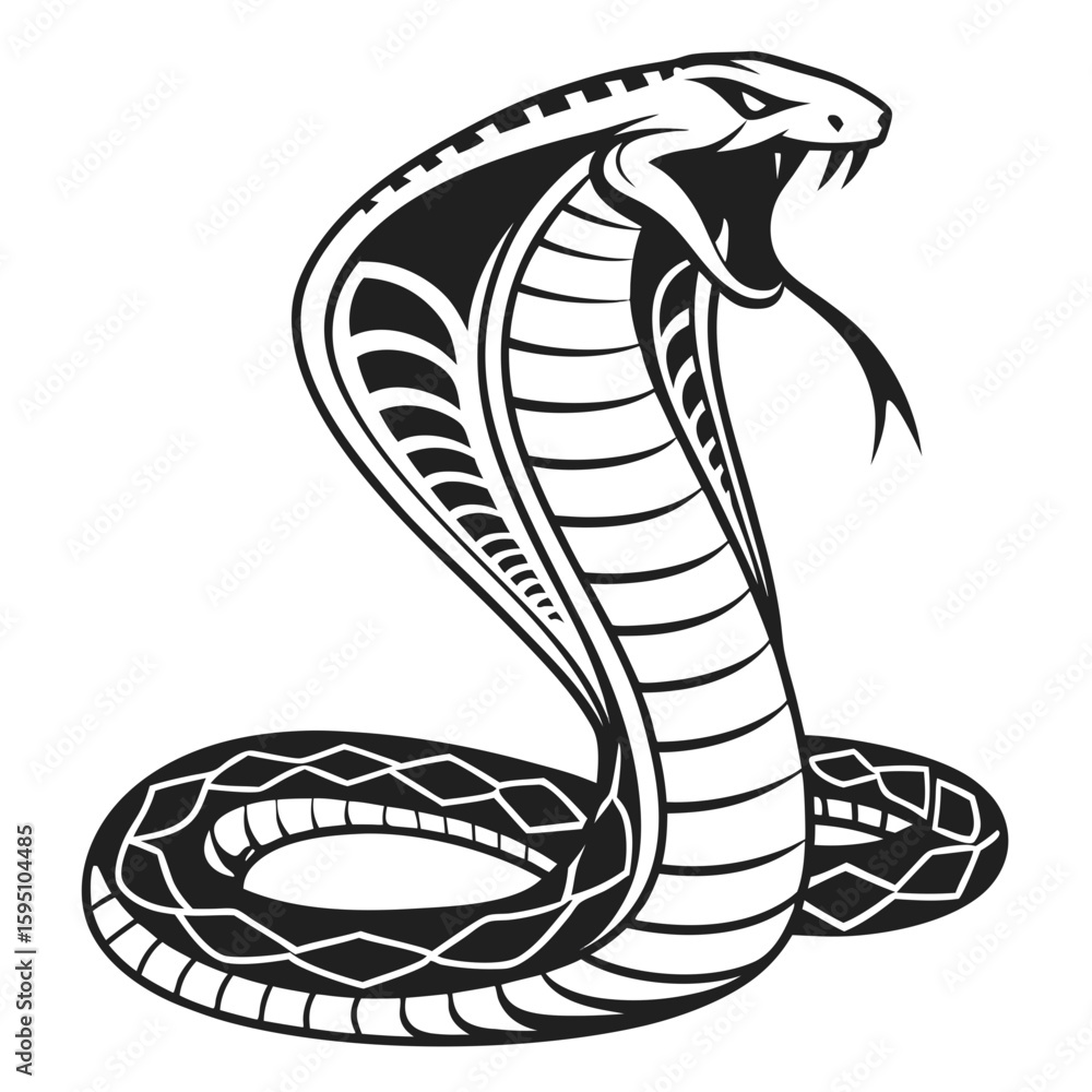 Fototapeta premium A striking cobra snake with its hood flared in a defensive posture