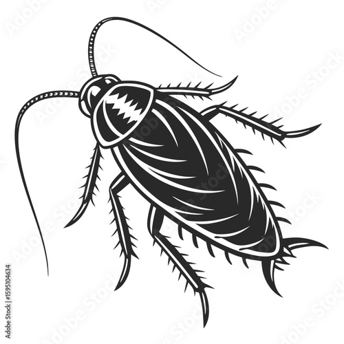 Stylized black and white cockroach illustration isolated on white background
