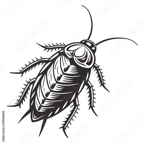 Stylized black and white cockroach illustration isolated on white background