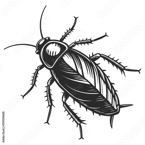 Stylized black and white cockroach illustration isolated on white background