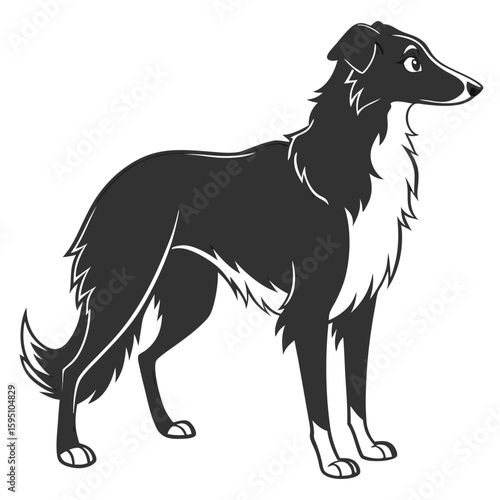 Black and white borzoi dog standing profile view illustration