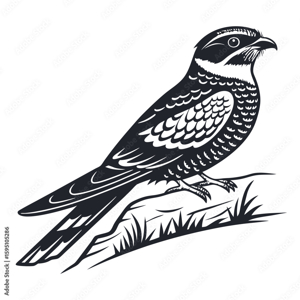 Fototapeta premium A falcon perched on a grassy branch, isolated on white