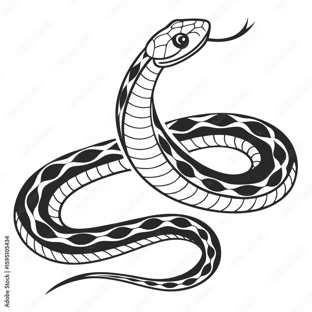 Fototapeta premium A black and white illustration of a coiled snake