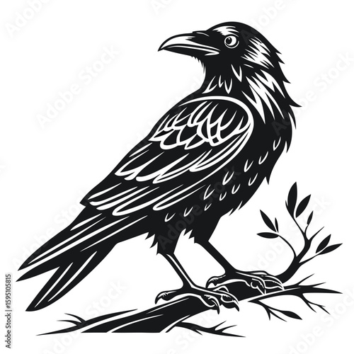 A black raven perched on a branch, isolated on white