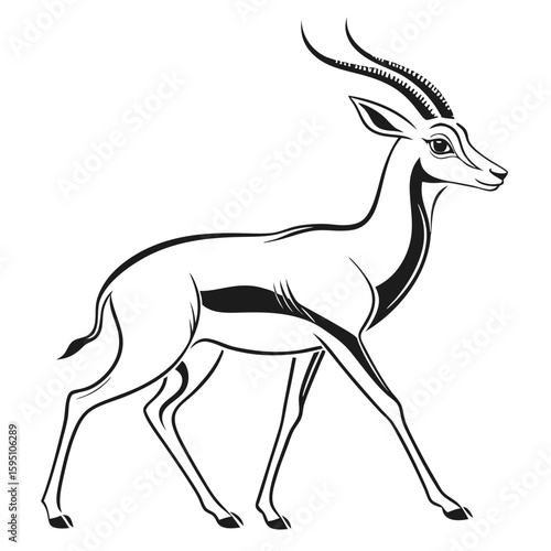 Graceful gazelle antelope walking isolated on white background