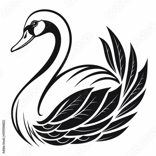 Elegant swan illustration isolated on white background
